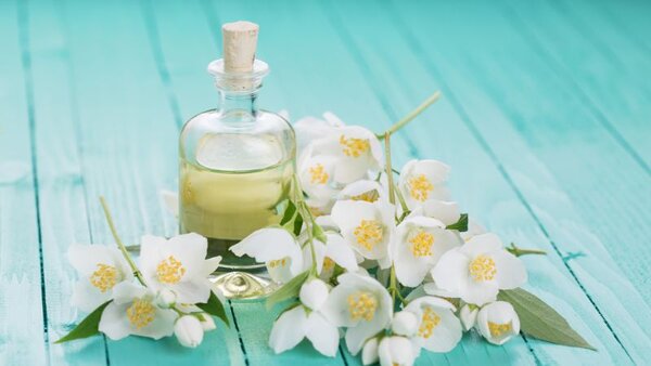 Cách làm nước hoa tại nhà bằng hoa nhài