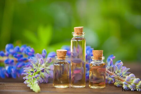 Làm nước hoa từ hoắc hương