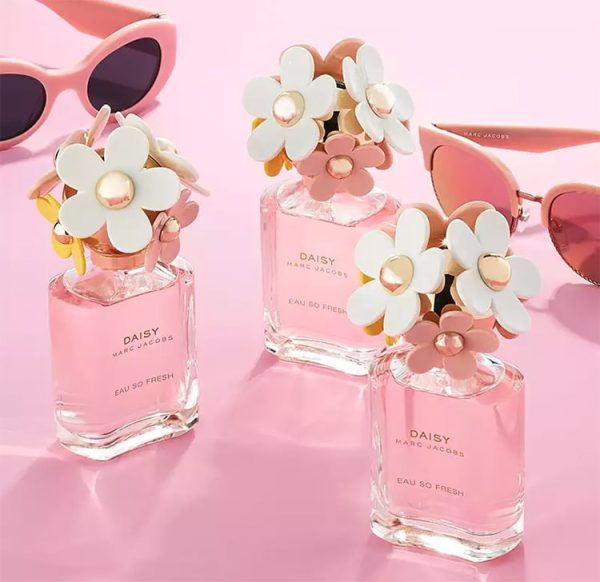  Những đóa hoa Daisy tượng trưng cho vẻ đẹp và sự thanh khiết