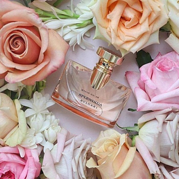 Bvlgari Splendida Rose Woman là một tinh hoa của hoa hồng phương Đông