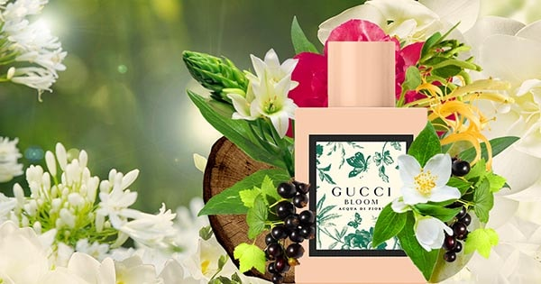 Review 5 Nước hoa Gucci Bloom thơm nhất hiện nay