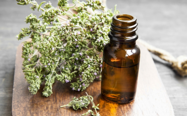 Xạ hương là gì? Mùi của xạ hương (Musk) trong nước hoa